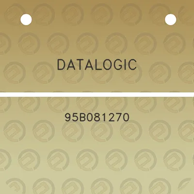 datalogic-95b081270