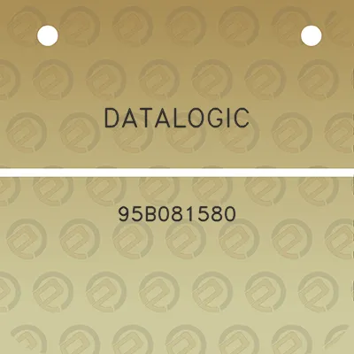 datalogic-95b081580