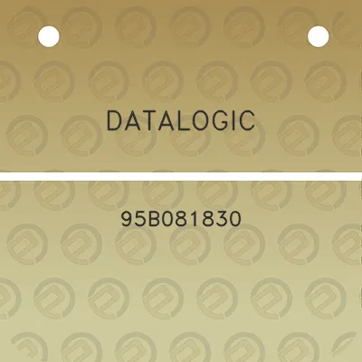 datalogic-95b081830