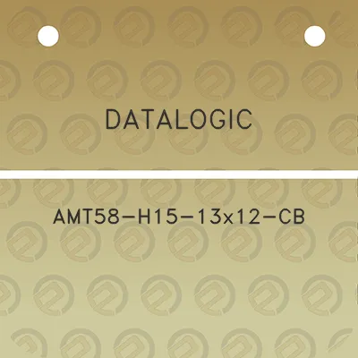 datalogic-amt58-h15-13x12-cb