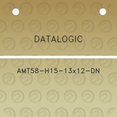 datalogic-amt58-h15-13x12-dn