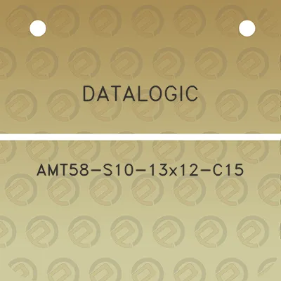 datalogic-amt58-s10-13x12-c15