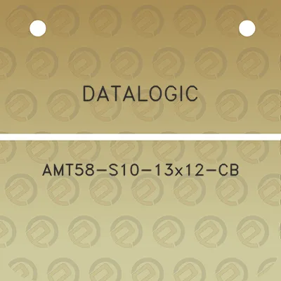 datalogic-amt58-s10-13x12-cb