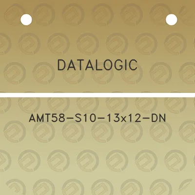 datalogic-amt58-s10-13x12-dn