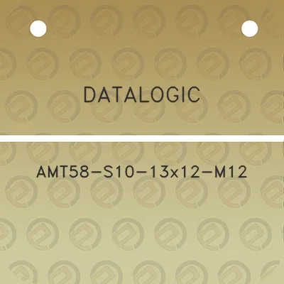 datalogic-amt58-s10-13x12-m12