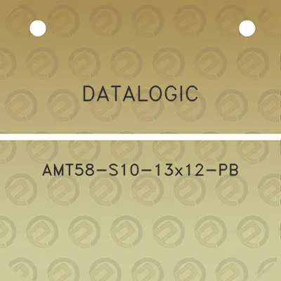 datalogic-amt58-s10-13x12-pb