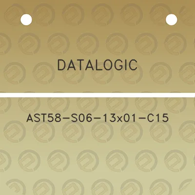 datalogic-ast58-s06-13x01-c15