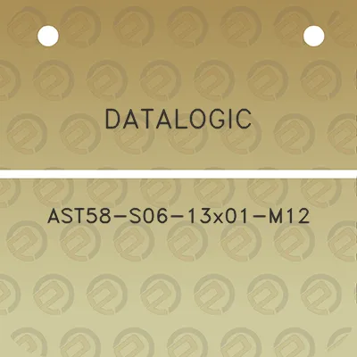 datalogic-ast58-s06-13x01-m12