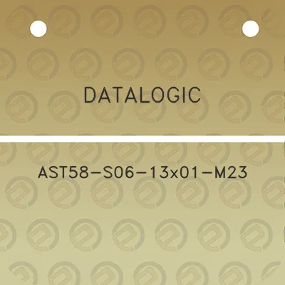 datalogic-ast58-s06-13x01-m23