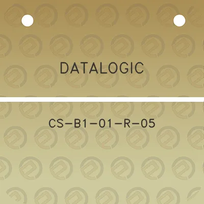 datalogic-cs-b1-01-r-05