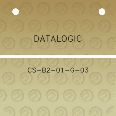 datalogic-cs-b2-01-g-03