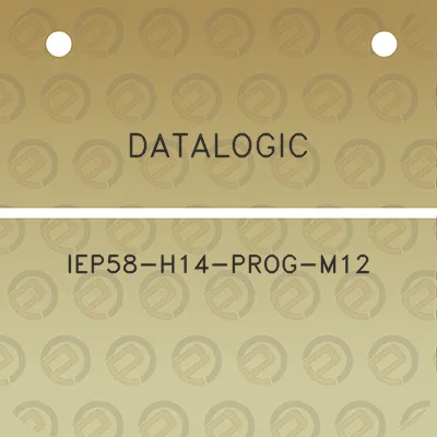 datalogic-iep58-h14-prog-m12