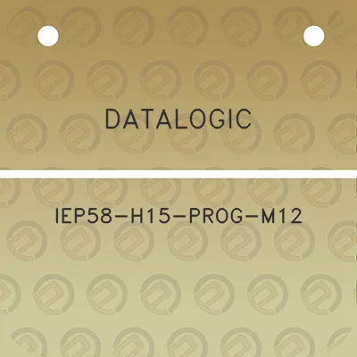 datalogic-iep58-h15-prog-m12