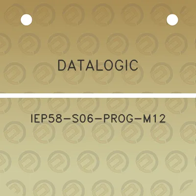 datalogic-iep58-s06-prog-m12