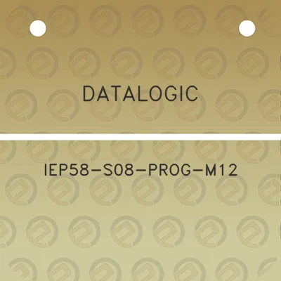 datalogic-iep58-s08-prog-m12