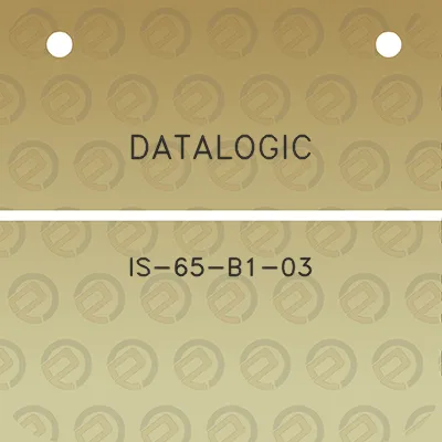 datalogic-is-65-b1-03