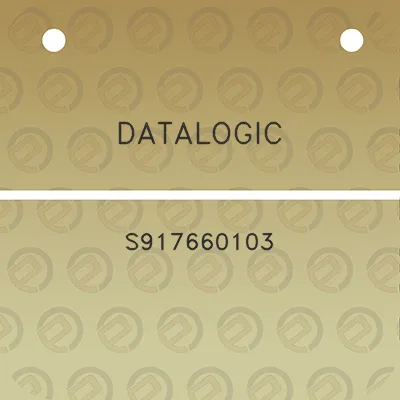 datalogic-s917660103