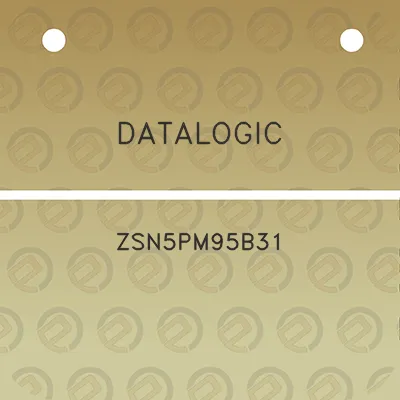 datalogic-zsn5pm95b31