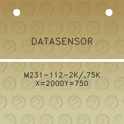 datasensor-m231-112-2k75k-x2000y750