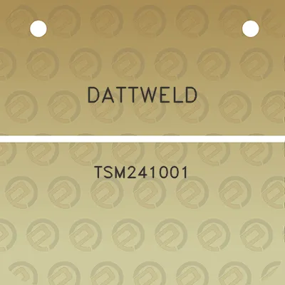 dattweld-tsm241001