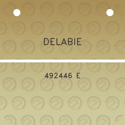 delabie-492446-e