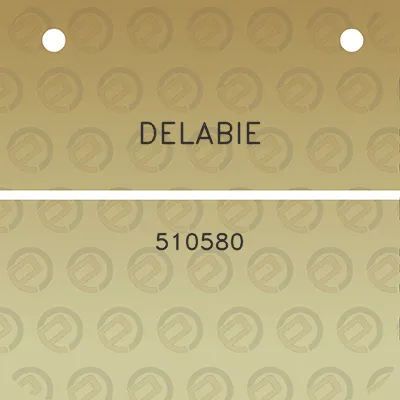 delabie-510580