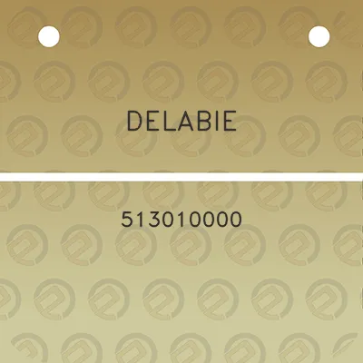 delabie-513010000