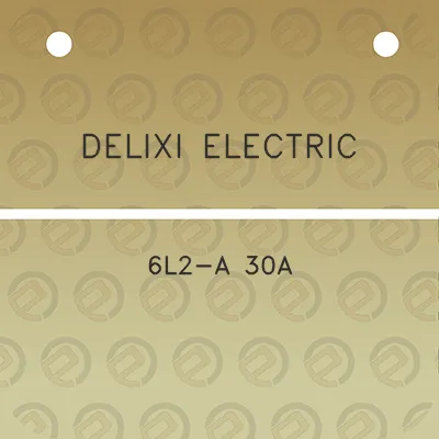 delixi-electric-6l2-a-30a