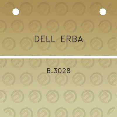 dell-erba-b3028