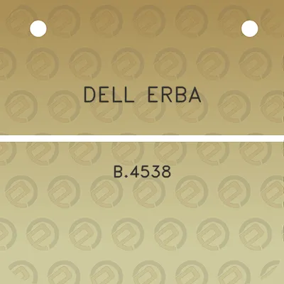 dell-erba-b4538