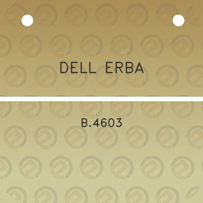 dell-erba-b4603