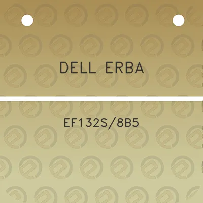 dell-erba-ef132s8b5