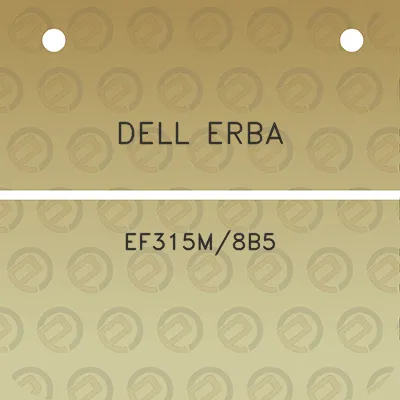 dell-erba-ef315m8b5