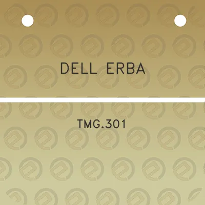 dell-erba-tmg301