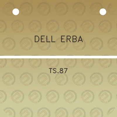 dell-erba-ts87