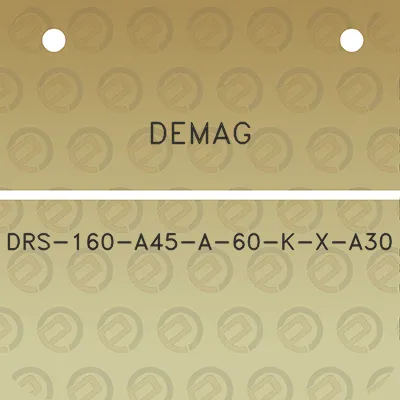 demag-drs-160-a45-a-60-k-x-a30