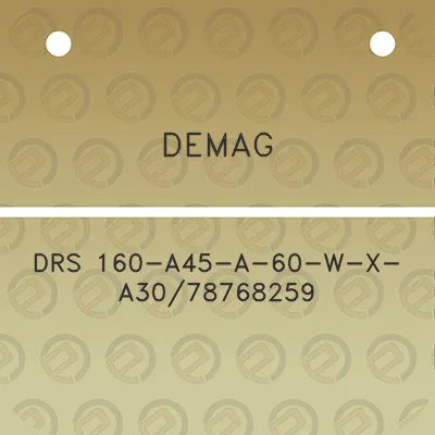 demag-drs-160-a45-a-60-w-x-a3078768259