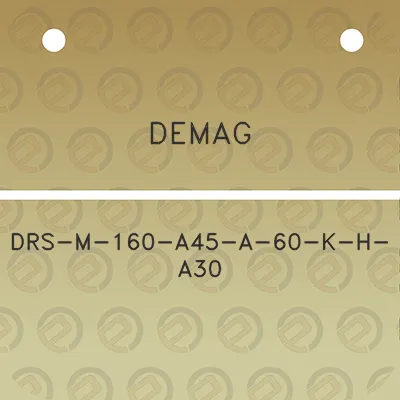 demag-drs-m-160-a45-a-60-k-h-a30