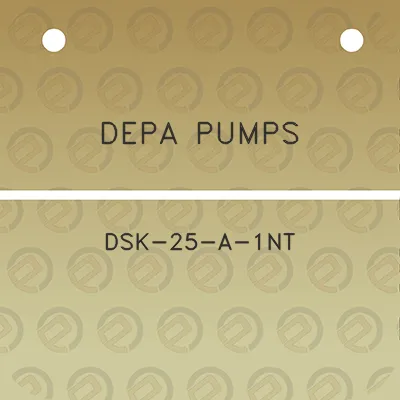 depa-pumps-dsk-25-a-1nt