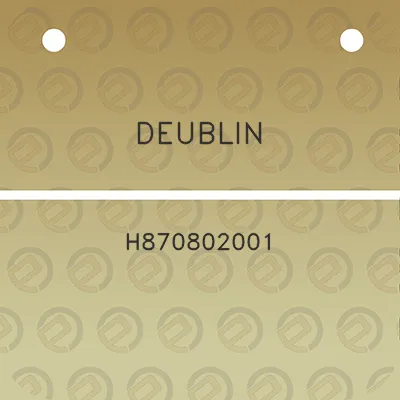 deublin-h870802001