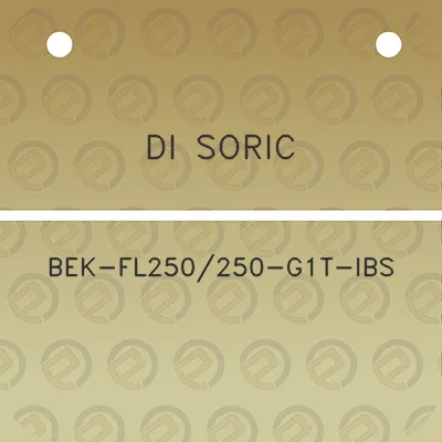 di-soric-bek-fl250250-g1t-ibs