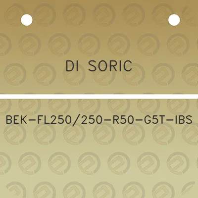 di-soric-bek-fl250250-r50-g5t-ibs