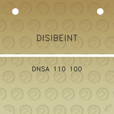 disibeint-dnsa-110-100