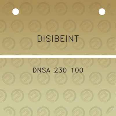 disibeint-dnsa-230-100