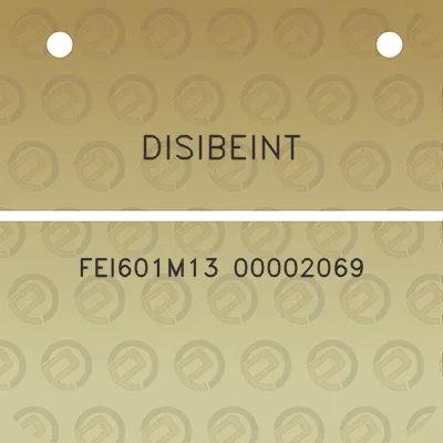 disibeint-fei601m13-00002069