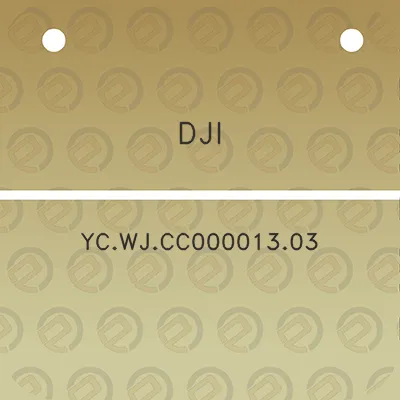 dji-ycwjcc00001303