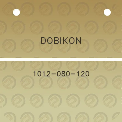 dobikon-1012-080-120