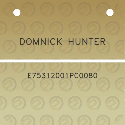 domnick-hunter-e75312001pc0080