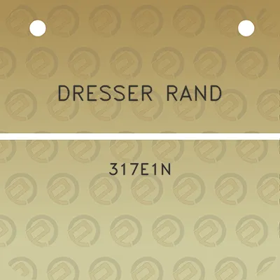 dresser-rand-317e1n