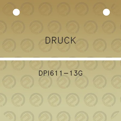 druck-dpi611-13g